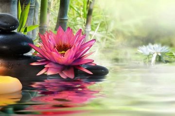 Mesa Radi�nica de Limpeza e Prote��o