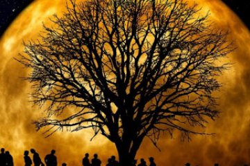 Mesa Radi�nica para desatar Registros K�rmicos