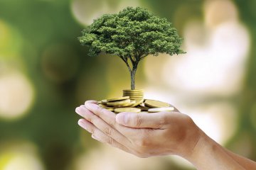 Mesa Radi�nica de Prosperidade